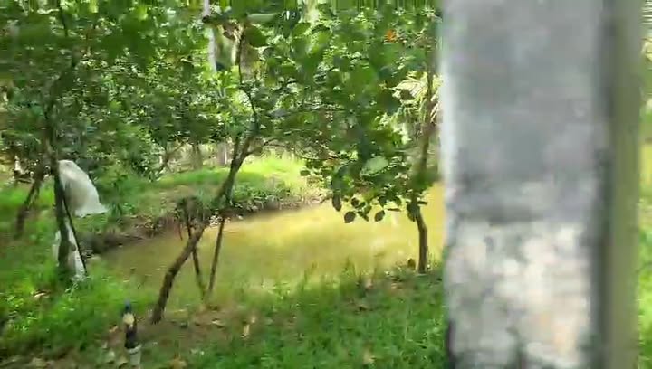 Đất nền Nhơn Thạnh Bến Tre 760m² giá 750 triệu - Sổ hồng chính chủ