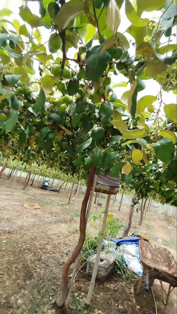 Đất thương mại dịch vụ 1,4 ha mặt tiền QL1A, Bình Thuận - Tiềm năng đầu tư cực lớn!