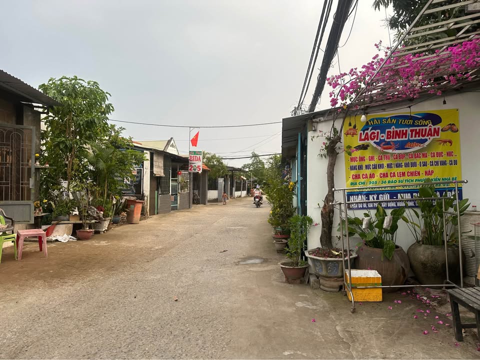 Cho thuê nhà nguyên căn tại Đào Sư Tích, Nhà Bè - Giá chỉ từ 1.7 triệu/tháng!