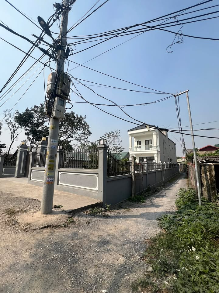 Đất xen kẹt Tả Thanh Oai 75m² chỉ 300 triệu - Bán gấp trước Tết!