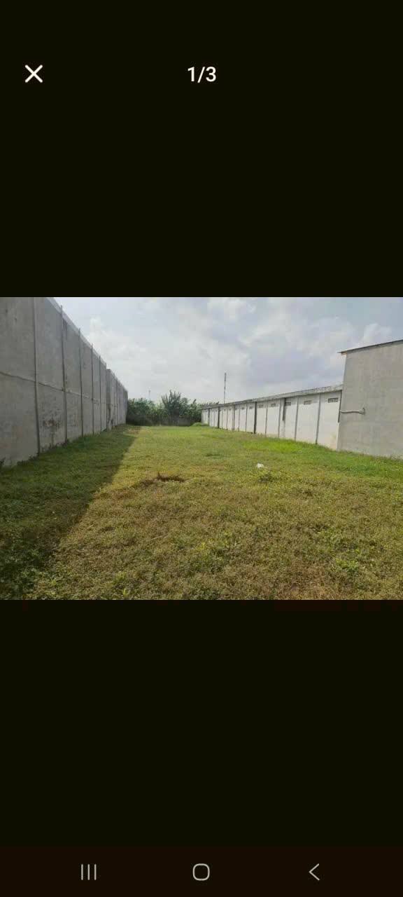 Đất nền Long Đức Trà Vinh 9065m² giá 4.1 tỷ - Cơ hội đầu tư hấp dẫn!