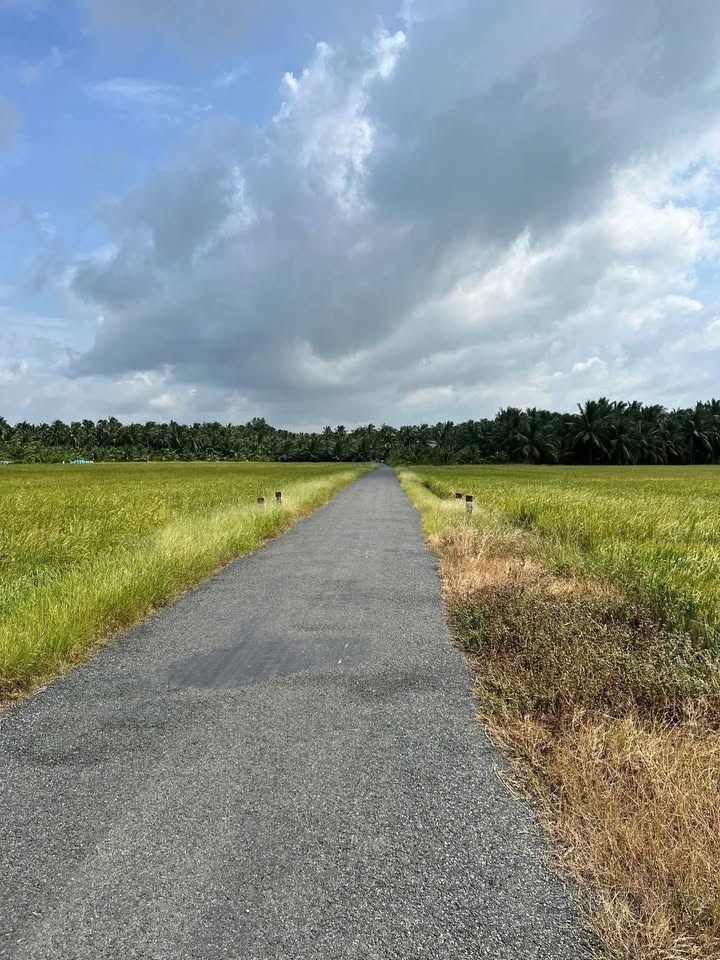 Đất nền 5009m² tại ấp Ông Xây, xã Tập Ngãi, giá 1.85 tỷ - Đầu tư sinh lời!