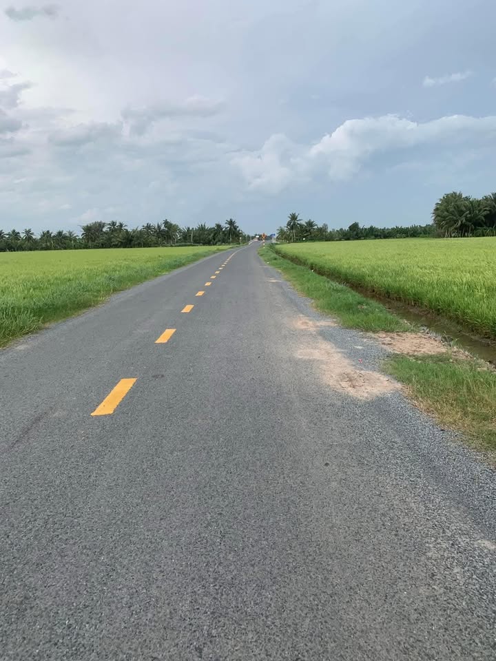 Đất mặt tiền HL13, xã Tập Ngãi, 1.400m² chỉ 8.4 tỷ - Cơ hội đầu tư vàng!