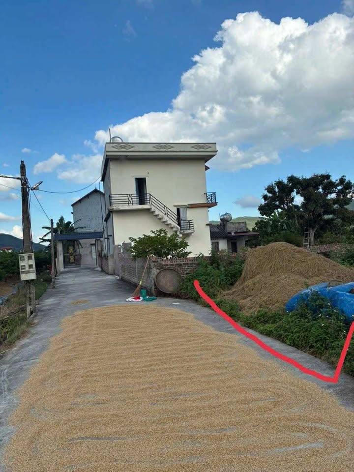 Đất nền Nghĩa An, Lục Nam 266,5m² giá chỉ 7xx triệu - Cơ hội đầu tư tốt!