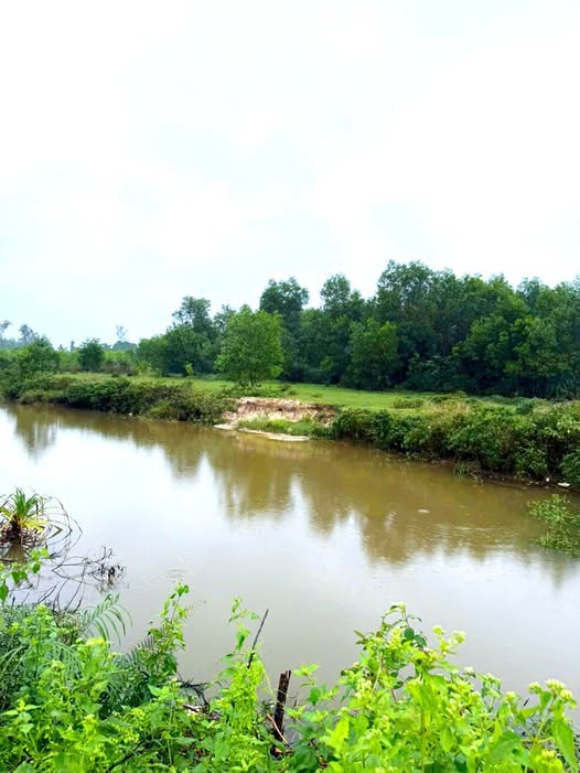 Đất nền Tôn Thất Sơn, Huế 2800m² giá thỏa thuận - View hồ thoáng mát, không gian trong lành!