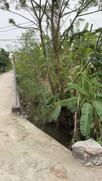 Đất nền Yên Mỹ - Yên Mô 312m² giá thỏa thuận - Vị trí đẹp, tiềm năng cao!