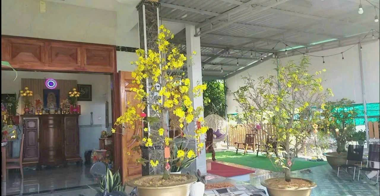 Nhà mặt tiền Hàn Mặc Tử, Phú Thủy, 232m² giá 6 tỷ - Cơ hội đầu tư tuyệt vời!