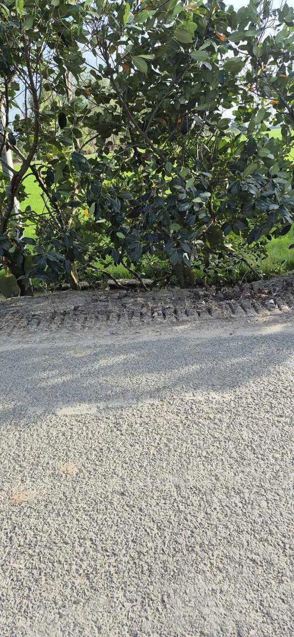 Bán đất nông nghiệp 38 công MT Kinh Bửu Liêm, Vĩnh Hanh, Châu Thành - Cơ hội đầu tư sinh lời!