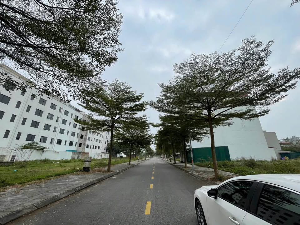 Đất nền Khu đô thị Vườn Sen, Đồng Kỵ, 121.5m², giá 6.075 tỷ - Cơ hội đầu tư tuyệt vời!