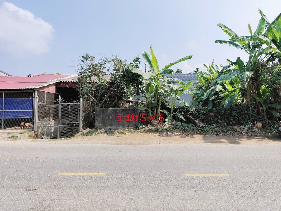 Đất nền Khu Đình, xã Võ Miếu 75.8m² giá 800 triệu - Đầu tư sinh lời ngay!