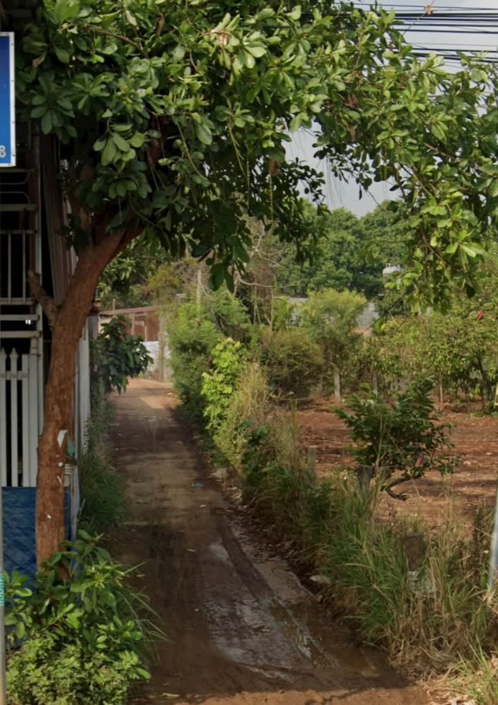 Đất 2 mặt tiền Nguyễn Thị Định, 1,5 hecta giá 18 tỷ - Cơ hội đầu tư hiếm có!