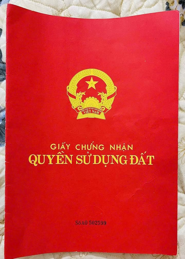 Nhà bán tại Bát Tràng, Gia Lâm, 127m² giá 29 tỷ - Vị trí kinh doanh sầm uất!