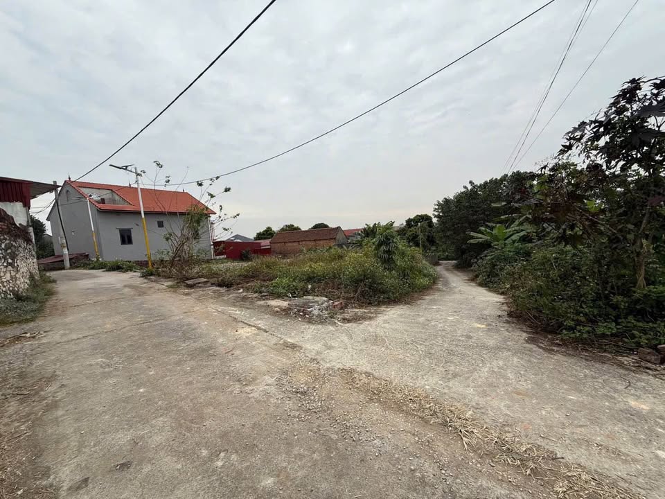 Đất Châu Phong, Quế Võ 138m² giá chỉ 1 tỷ - Tiềm năng đầu tư lớn!