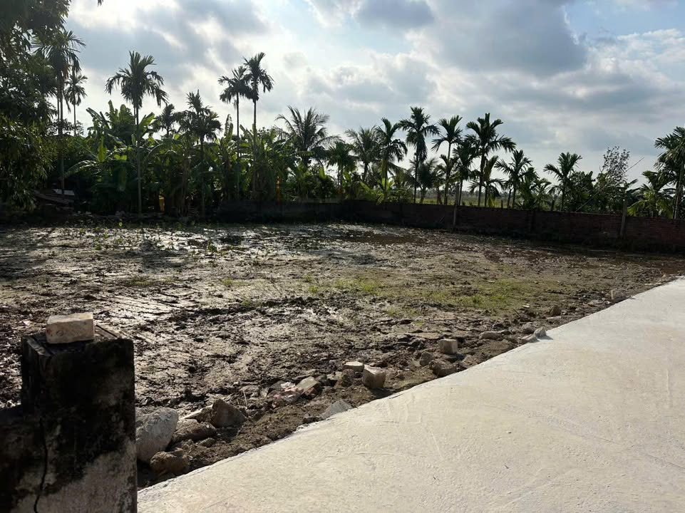 Đất nền Trường Thọ, An Lão 75m² chỉ 900 triệu - Cơ hội đầu tư sinh lời!