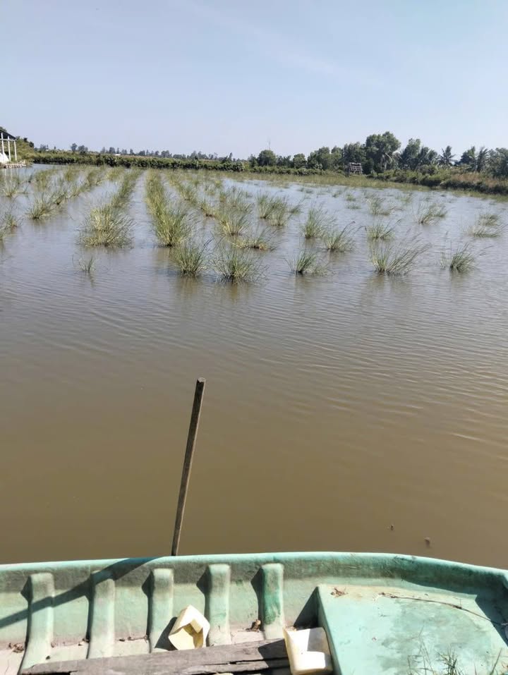 Đất tôm lúa 13 công tại xã Nam Thái, An Biên - Giá 1.82 tỷ, cơ hội đầu tư hiếm có!