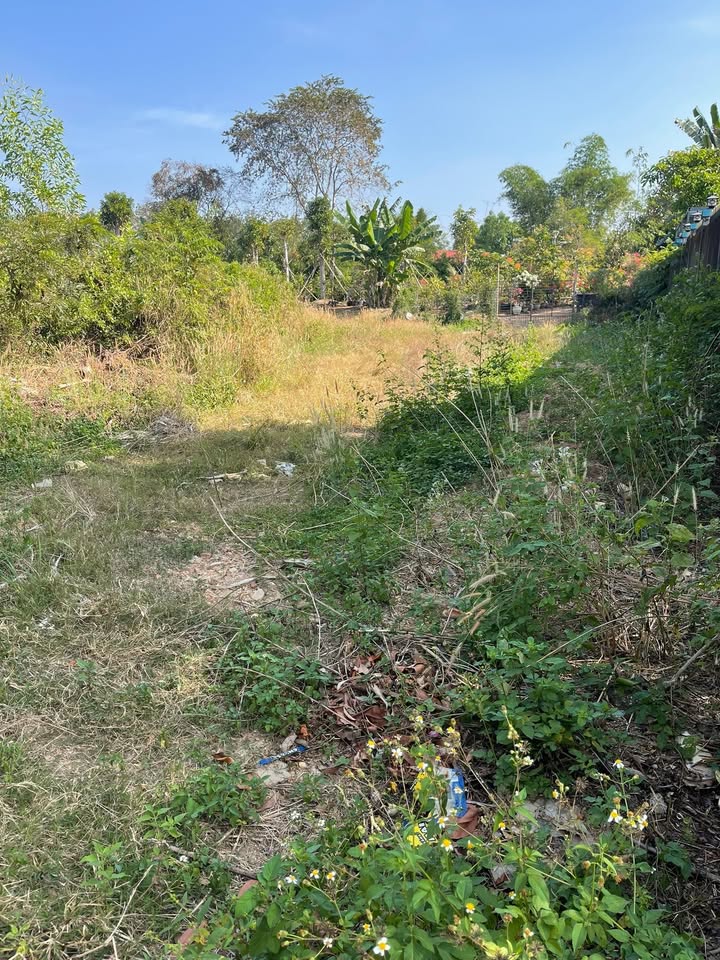 Đất nền Tân Đồng, Bù Đăng 180m² giá 950 triệu - Đầu tư sinh lời ngay!