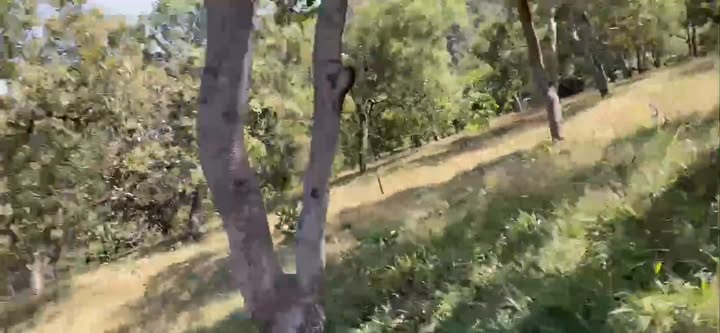 Đất nền 30000m² tại Bù Đăng - Giá chỉ 3 tỷ, cơ hội đầu tư tuyệt vời!