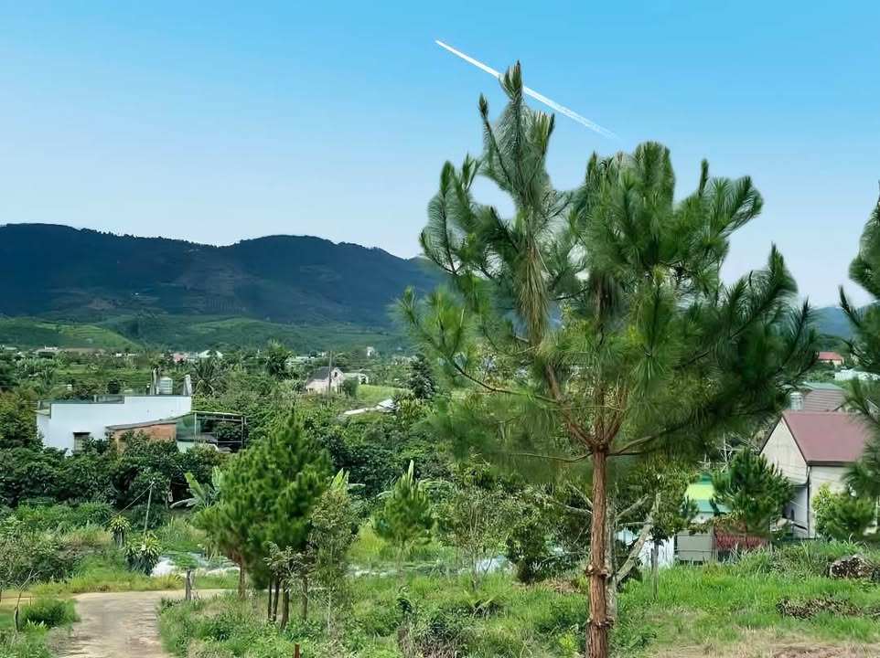 Đất thổ cư 2214m² tại Lộc Châu, Bảo Lộc - View đẹp, sẵn thổ cư chỉ 2.4 tỷ!