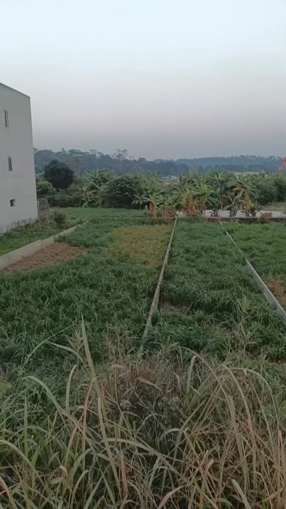 Đất nền Tu Vũ Phú Thọ 125m² giá 2 tỷ - Đầu tư sinh lời ngay!