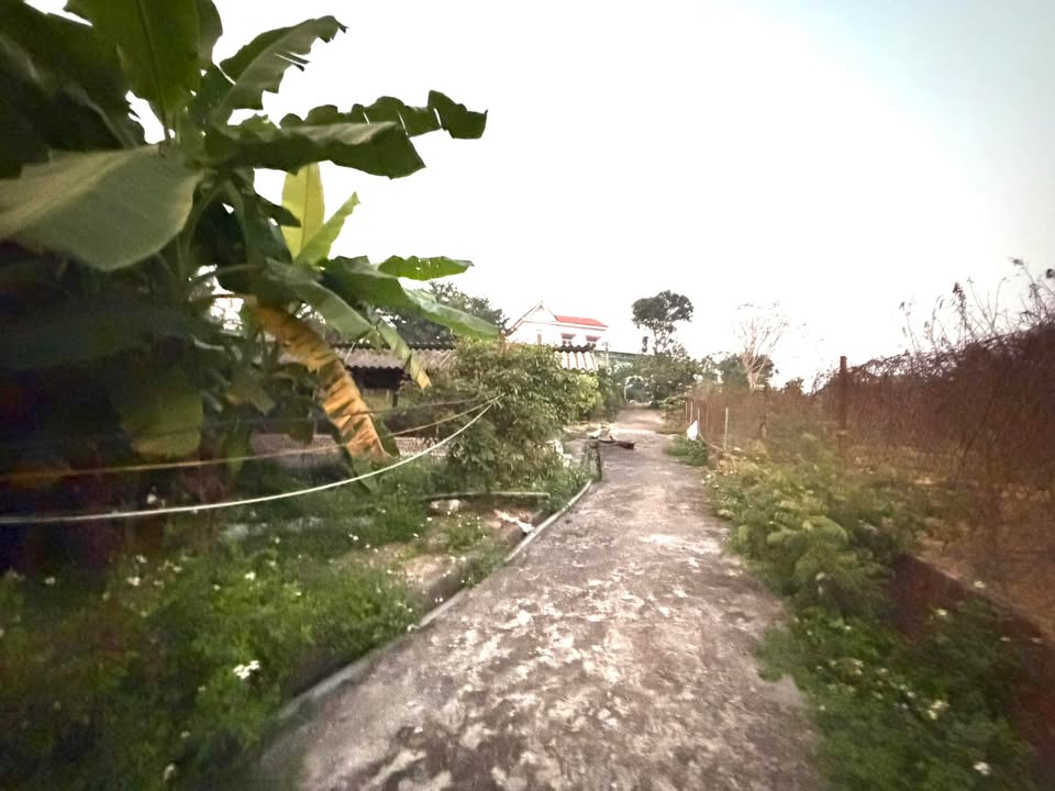 Đất nền Ngọc Lập - Yên Lập 2500m² giá 2 tỷ - Cơ hội đầu tư hấp dẫn!