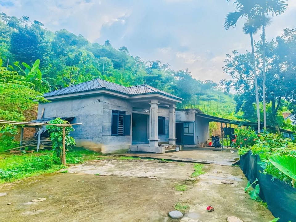 Đất nền Khả Cửu, Phú Thọ 725m² giá thỏa thuận - View cánh đồng thơ mộng!