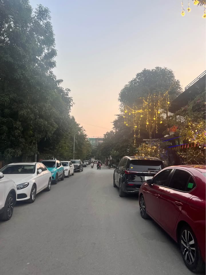 Đất đấu giá Trâu Quỳ, Gia Lâm 236m² - Mặt tiền đẹp, giá tốt!