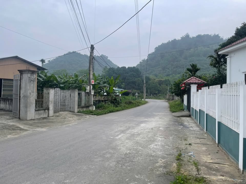 Đất mặt đường nhựa Thượng Long – 212m² giá chỉ 500 triệu - Kinh doanh thuận lợi!