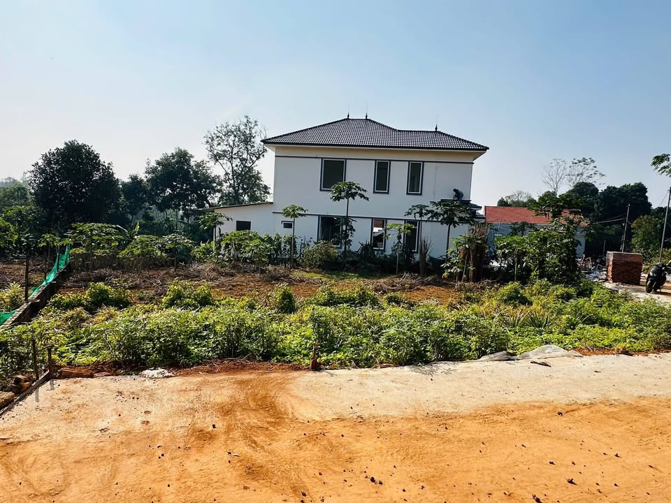 Đất chính chủ 173m² tại Hy Cương, Việt Trì - Giá chỉ 600 triệu VND!