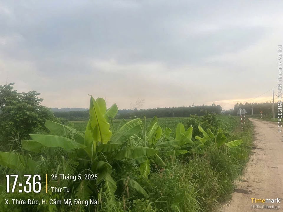 Quỹ đất 5ha tại Thừa Đức, Cẩm Mỹ, Đồng Nai - Tiềm năng phát triển mạnh mẽ!