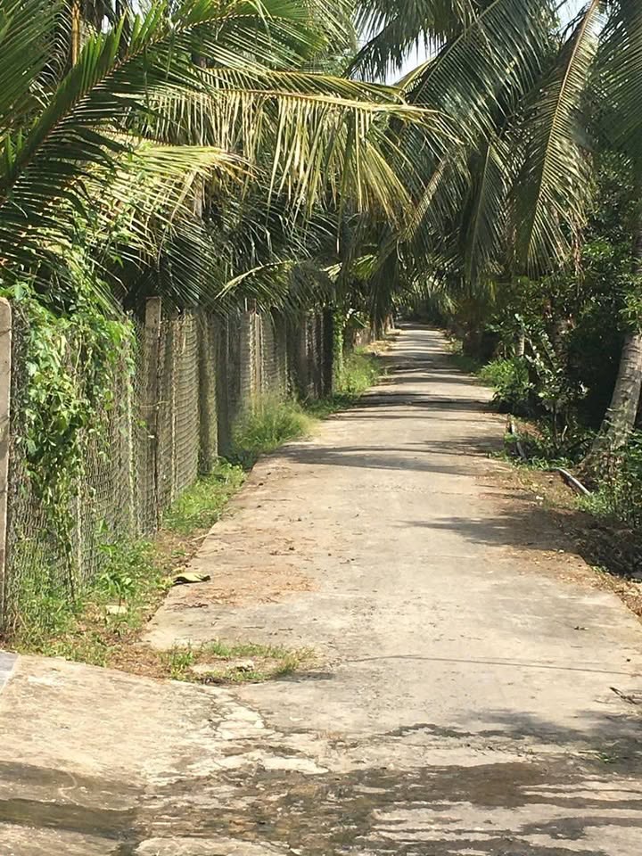 Lô đất vườn mặt tiền đường Nguyễn Văn Sa 480m² giá 1.2 tỷ - Cơ hội đầu tư hấp dẫn!