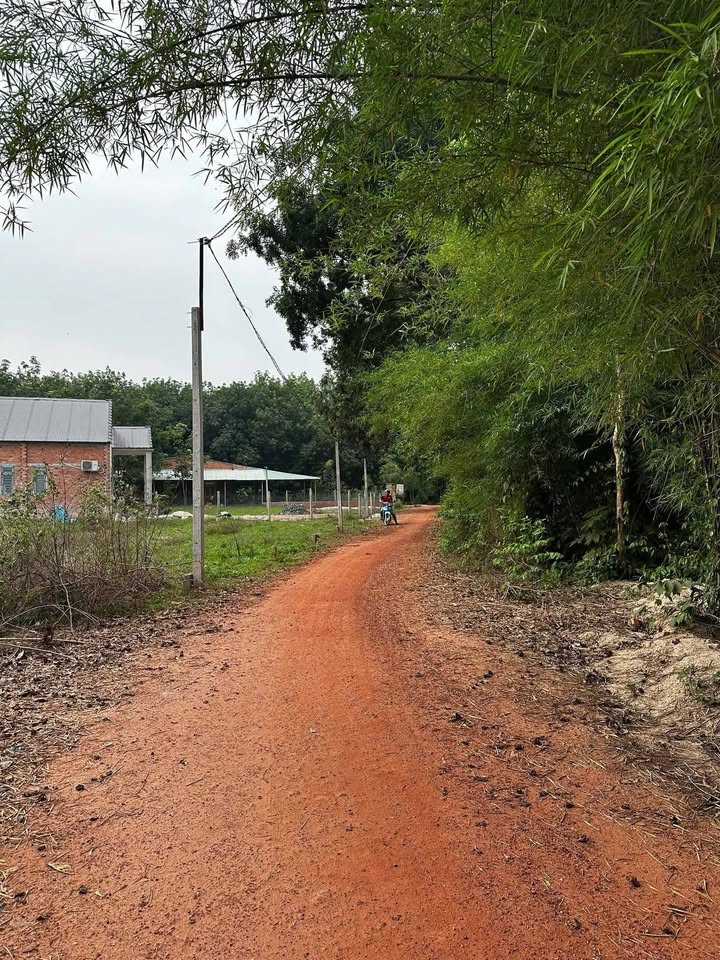 Đất nền 165m² Ấp Sân Bay, Tân Phong, Tây Ninh chỉ 195 triệu - Sổ hồng chính chủ!