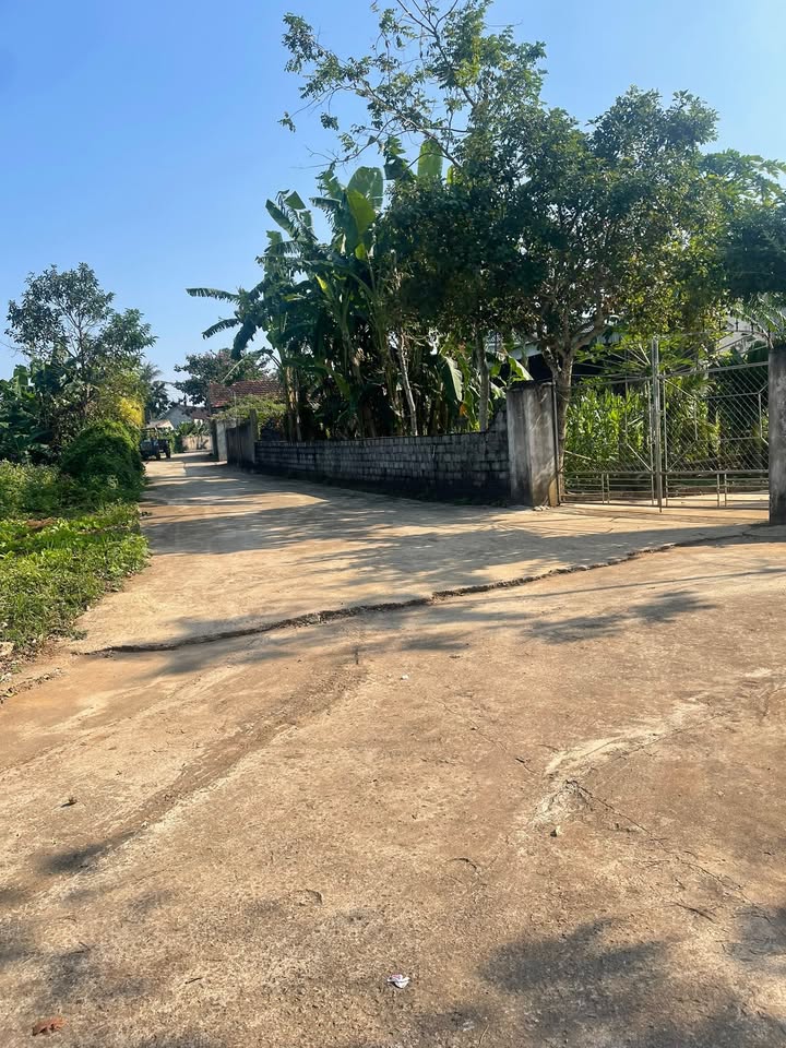 Đất nền Nghĩa Mỹ 280m² giá 1 tỷ - Đầu tư sinh lời ngay!