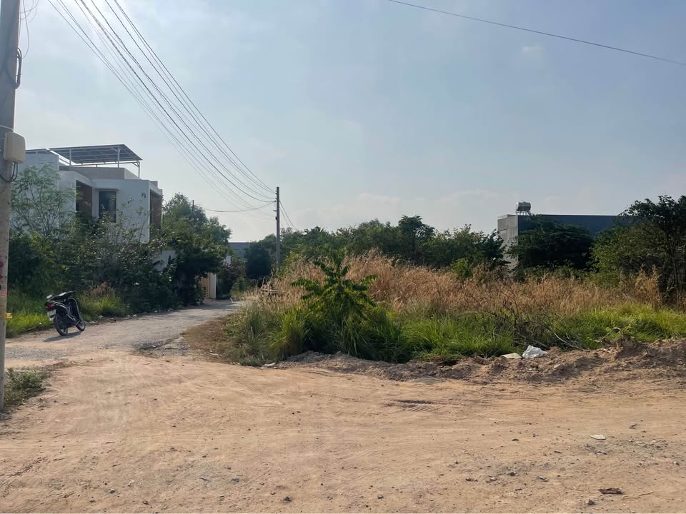 Đất nền Phú Mỹ 20m² giá chỉ 1 tỷ - Đầu tư sinh lời ngay!