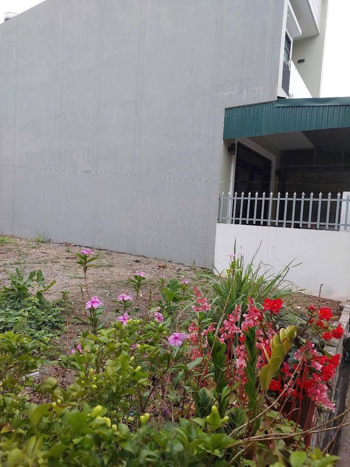 Đất Hạ Tu 113m² giá 1 tỷ - Đầu tư lý tưởng không thể bỏ lỡ!