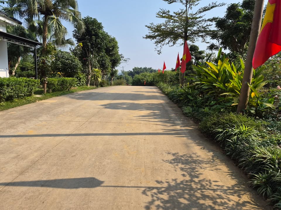 Đất thổ cư Tản Lĩnh, Ba Vì 400m² giá 1 tỷ - Cơ hội đầu tư hấp dẫn!