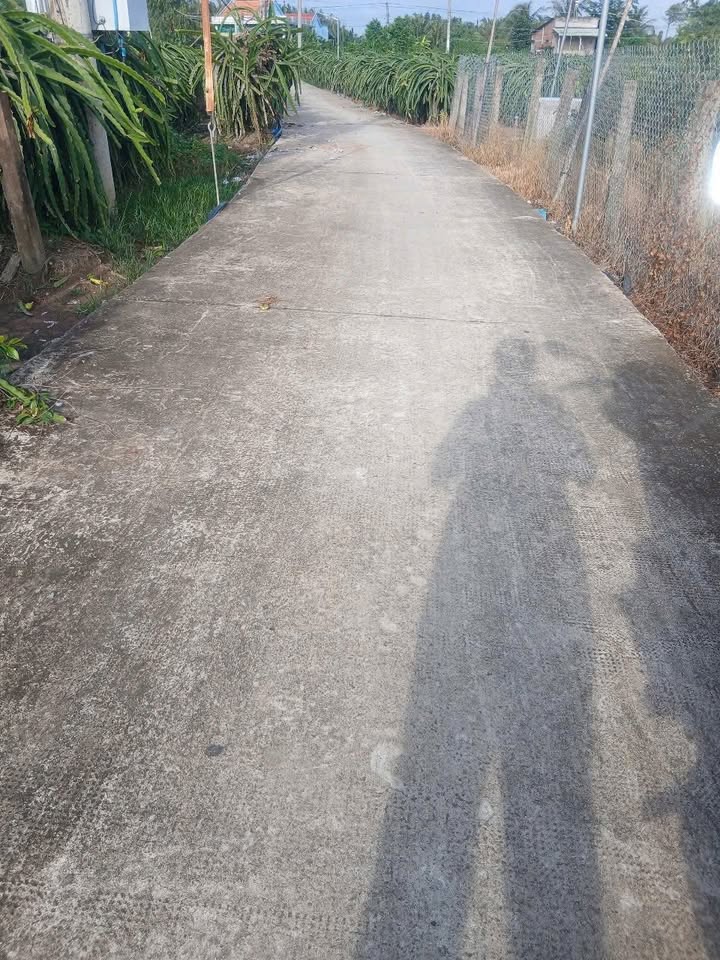 Đất Lúa 2000m² tại Thanh Vĩnh Đông, Tây Ninh - Thổ cư sẵn sàng, giá chỉ 720 triệu!