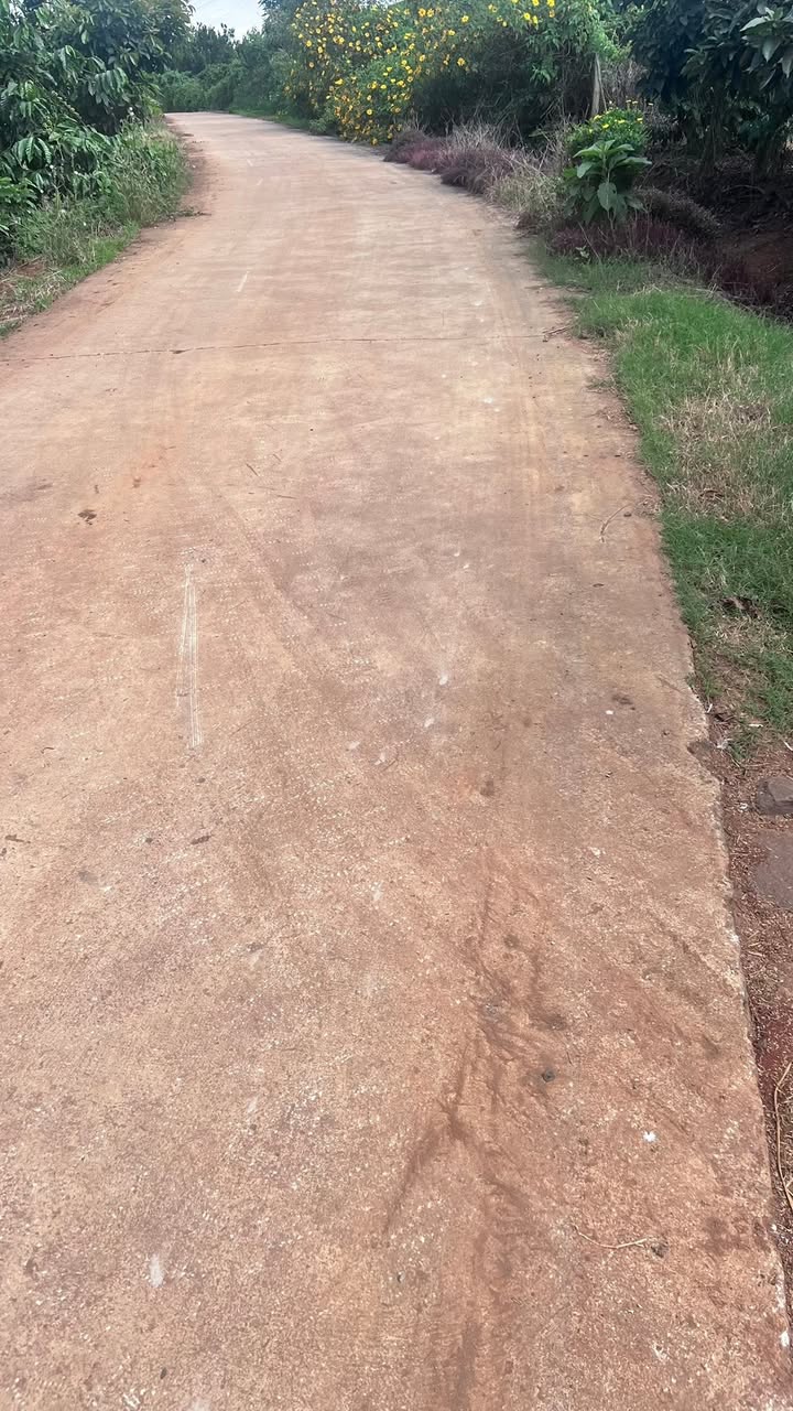 Đất nền Tân Thanh Lâm Hà 23200m² - Giá thỏa thuận cực hấp dẫn!