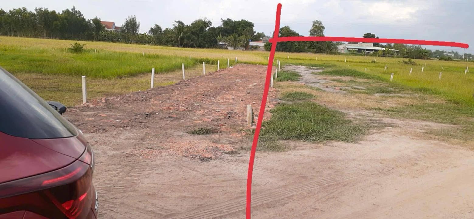 Đất nền Đức Huệ 175m² giá chỉ từ 490 triệu - Cơ hội đầu tư tuyệt vời!