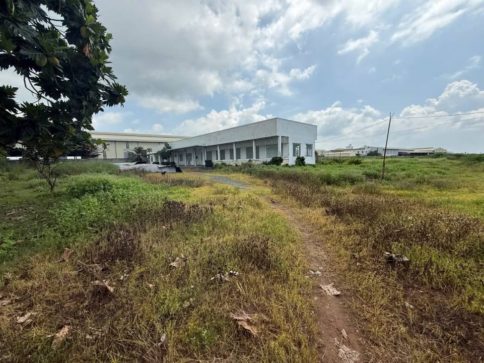 Đất mặt tiền đường Qlo 62, xã Tân Đông, Thạnh Hóa 42.700m² - Đầu tư sinh lời hấp dẫn!