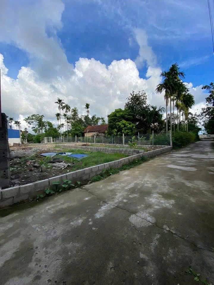 Bán đất Kim Đới 1, Hữu Bằng, Kiến Thụy 74m² giá 800 triệu - Đầu tư sinh lời ngay!