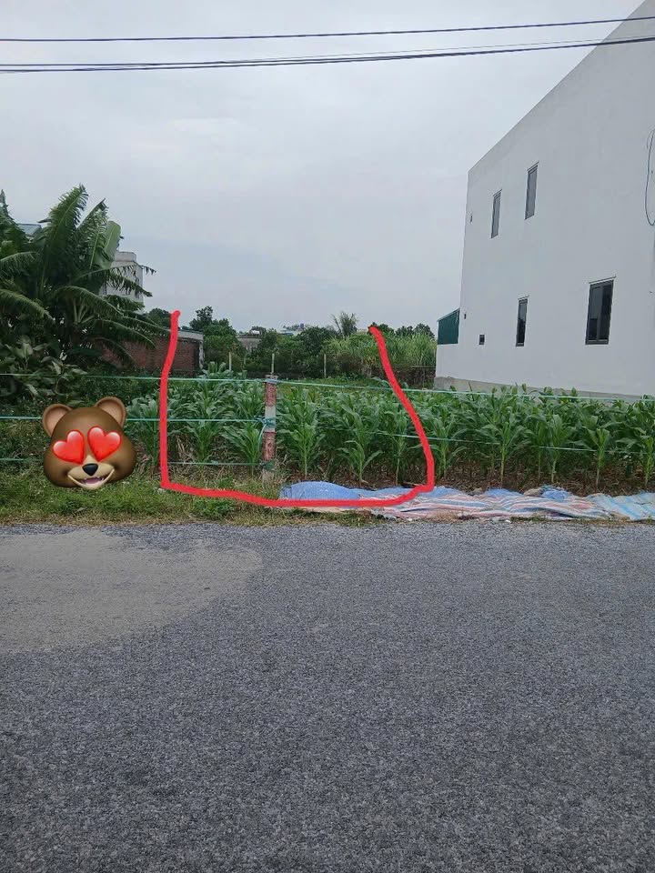 Đất nền trục chính Tây Sơn, Vũ Đông, Thái Bình 100m² - Đầu tư sinh lời ngay!