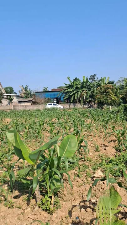 Đất nền Thái Hòa 280m² - Cơ hội đầu tư hấp dẫn tại xóm Du Thịnh