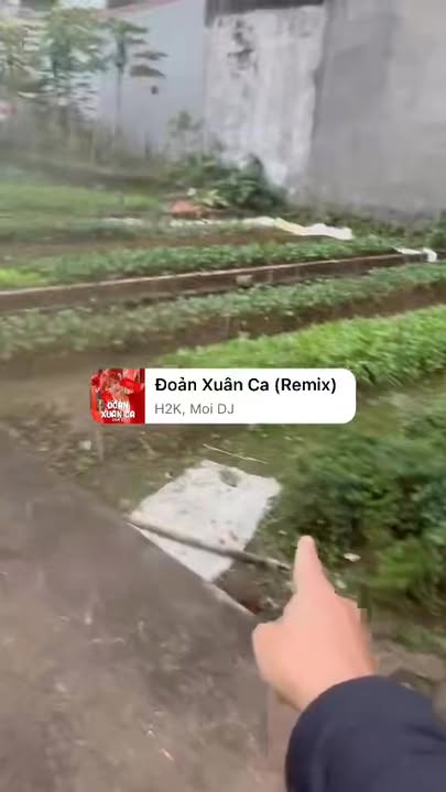 Đất nền Phúc Thọ 44m² giá 1 tỷ - Cơ hội đầu tư tuyệt vời!