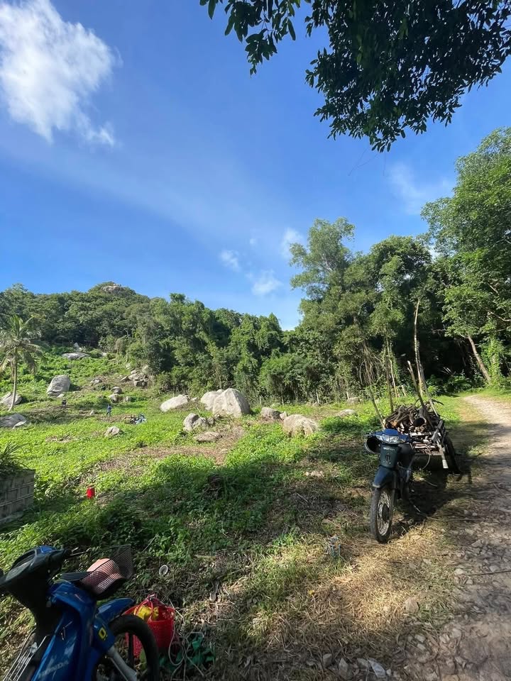 Đất nền Tịnh Biên An Giang 90.000m² giá chỉ 190 triệu - View đẹp, mát mẻ!