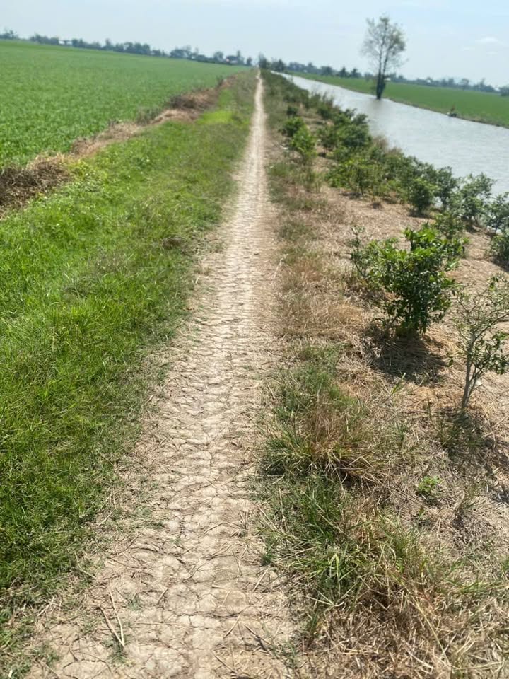 Đất nền 40.000m² xã Vĩnh Phú, Thoại Sơn chỉ 6 tỷ - Mặt tiền khổng lồ 500m!