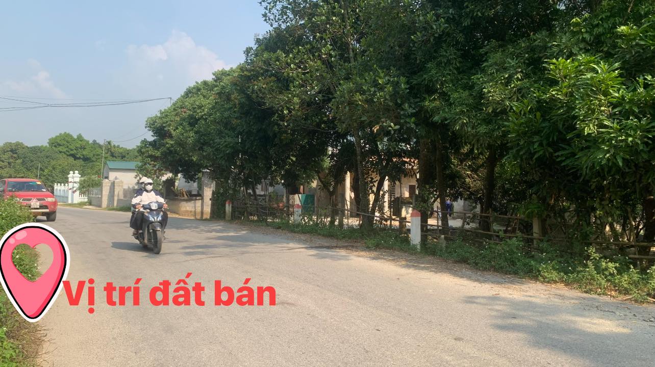 Đất mặt tiền Tỉnh Lộ 438 Lạc Thủy 190m² - Cơ hội đầu tư hấp dẫn!