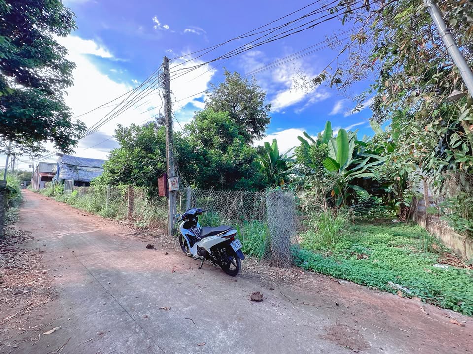 Đất nền phường Bình Lộc, Long Khánh 250m² giá 1.35 tỷ - Tiềm năng xây nhà trọ, sân vườn rộng!