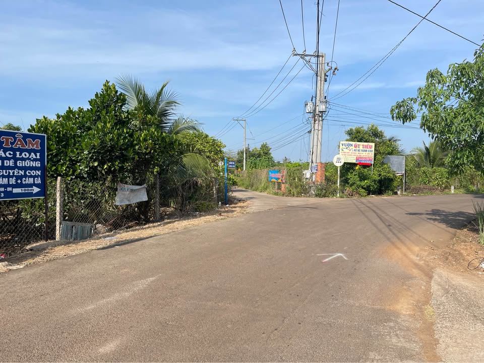 Bán đất 2 mặt Cây Da, Bình Lộc 2000m² giá 2.5 tỷ - Đầu tư sinh lời cao!