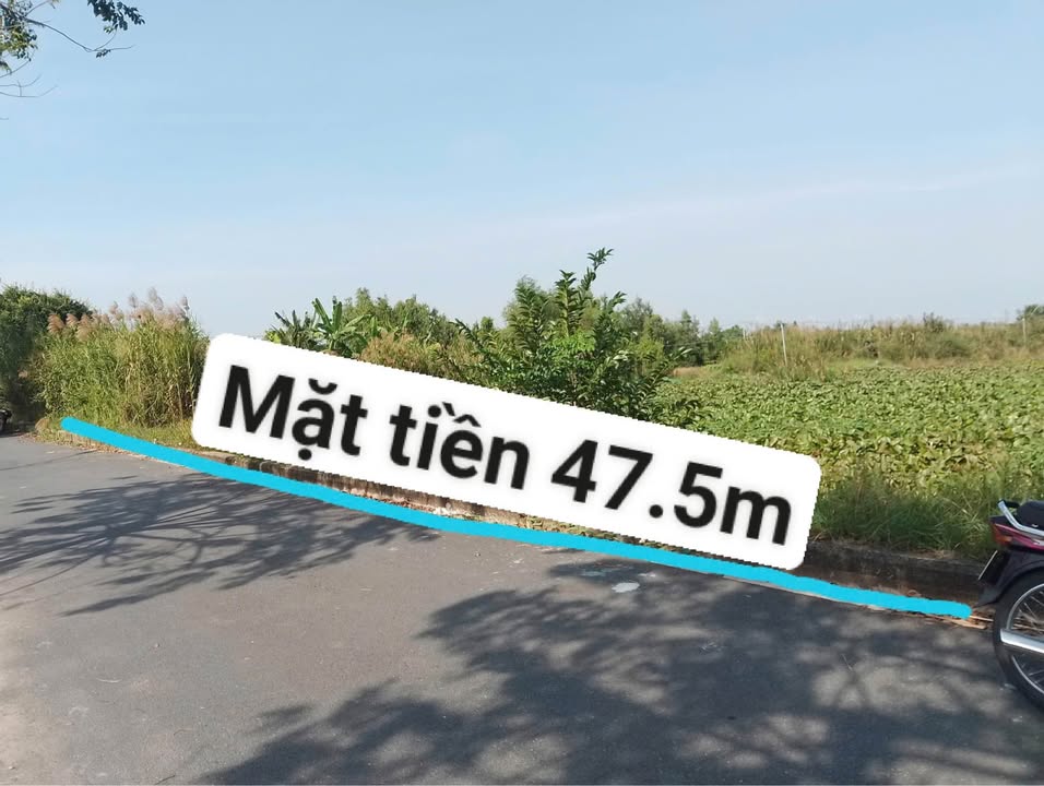 Đất lúa 1958m² tại Long Hòa, Bình Thủy - Giá 4.85 tỷ, Thương lượng ngay!