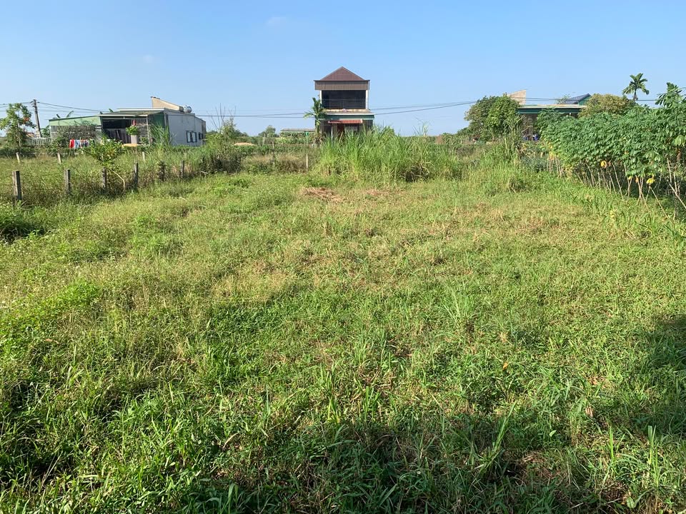 Đất thổ cư Cẩm Duệ 220m² - Cơ hội đầu tư hấp dẫn!